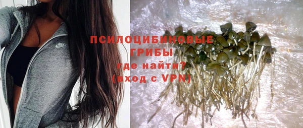 ешки Алексеевка