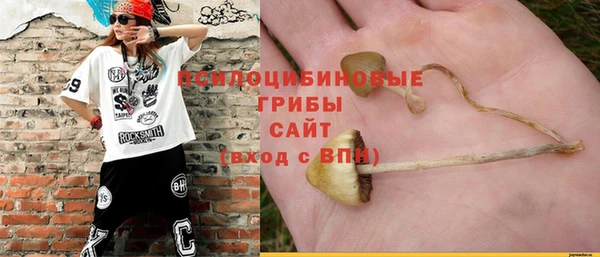 ешки Алексеевка